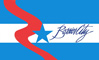 Bossier City Flag